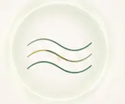 Soft wave line illustration