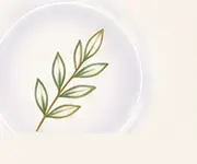 Botanical wellness line illustration
