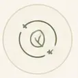 Star illustration for recovery